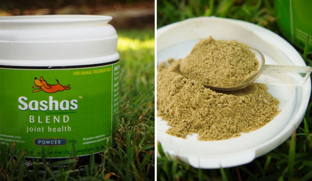 sashas blend joint health powder for dogs