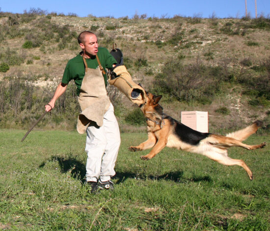 Helper and GSD 