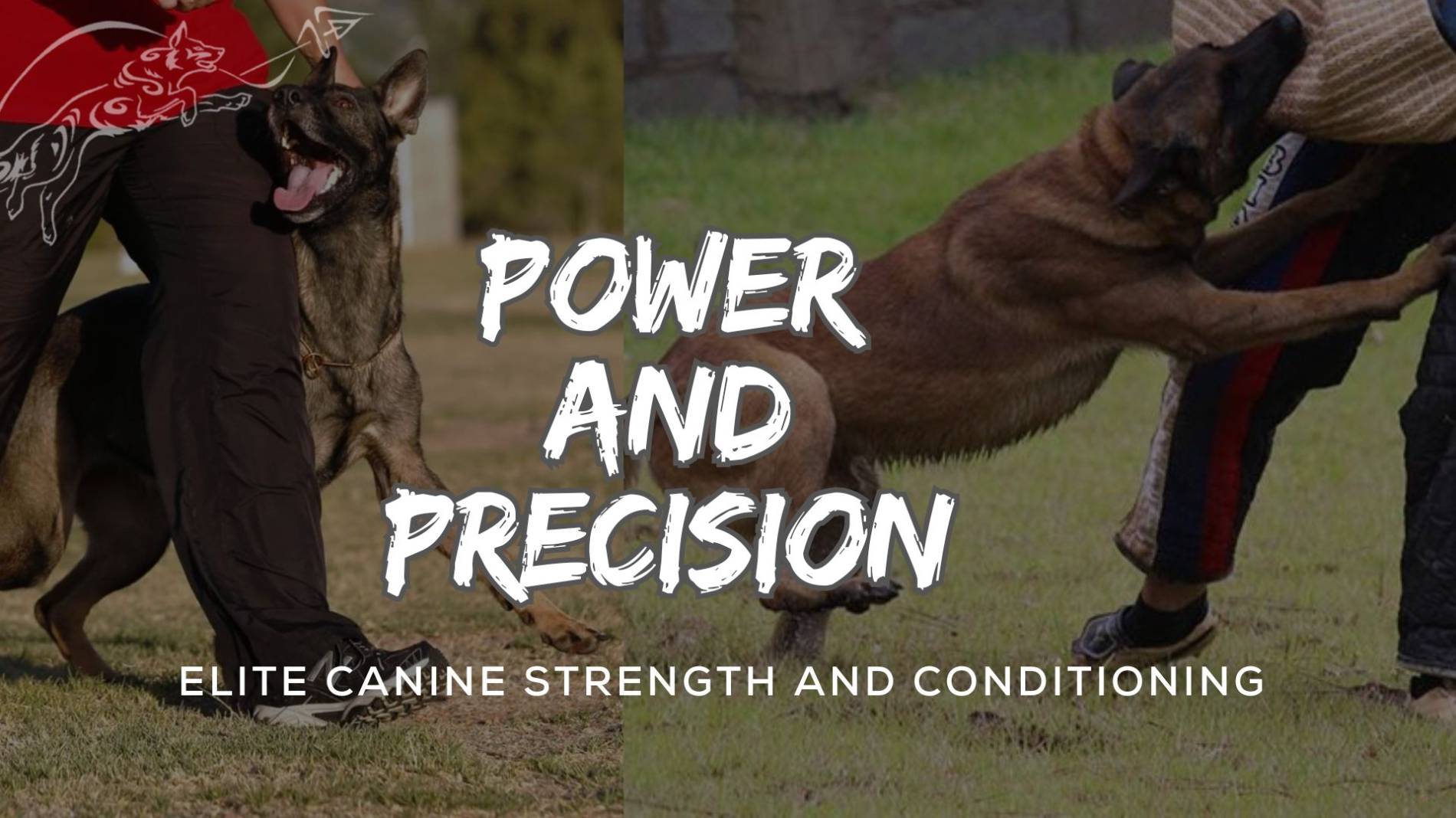 Power-and-Precision